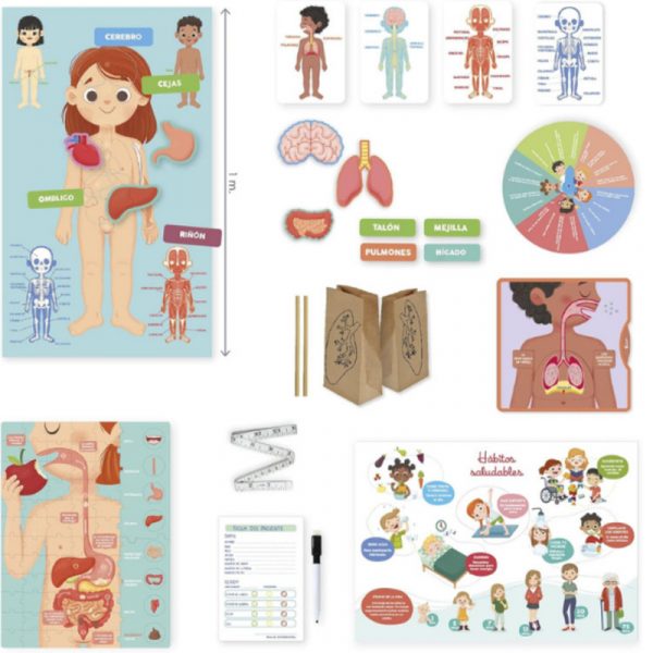 APRENDO EN POSITIVO EL CUERPO HUMANO +4-7 AÑOS DISET