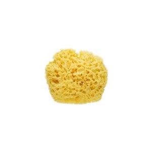 Esponja Natural de Baño
