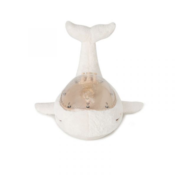 TRANQUIL WHALE RECARGABLE