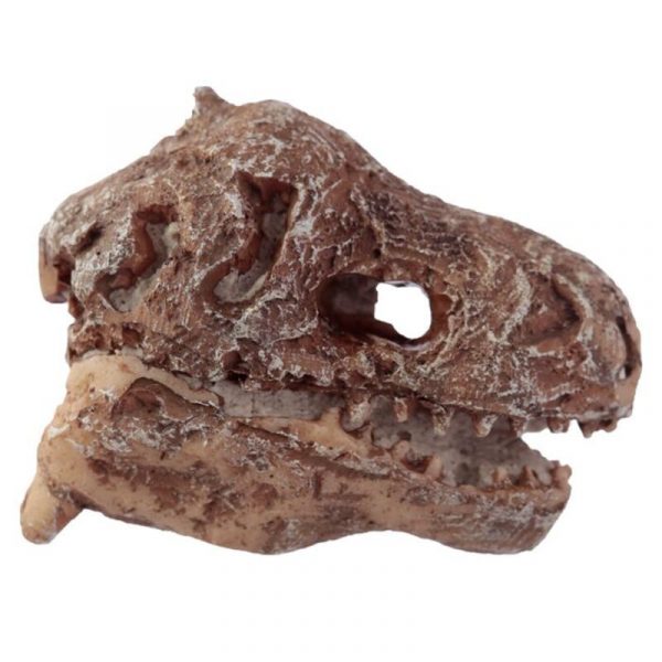 KIT DE EXCAVACION JUGUETE CRANEOS DE DINOSAURIO