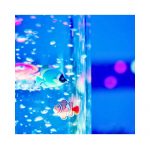 CARTA DE INESS - Imagen 2