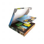 EL REY LEÓN PICTOGRAMAS