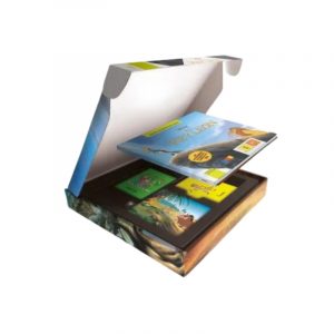 EL REY LEÓN PICTOGRAMAS