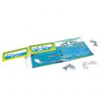 FLIPPING DOLPHINS 1JUG +7