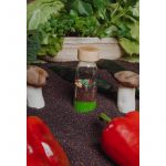 LEARN BOTTLE VEGGIES