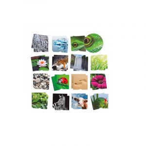 MAXI-MEMORY TÁCTIL LA NATURALEZA