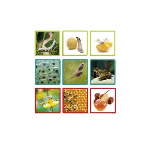 MAXI-SECUENCIAS NATURALES