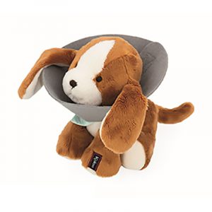 Maletín de Veterinario de madera