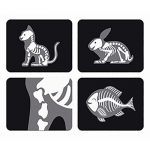 Maletín de Veterinario de madera