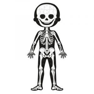 Puzzle Educativo Cuerpo Humano