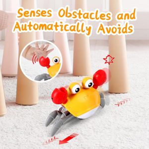 CANGREJO INTERACTIVO