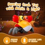 CANGREJO INTERACTIVO