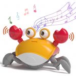 CANGREJO INTERACTIVO