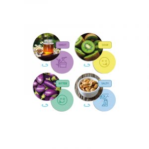 EL SENTIDO DEL GUSTO Y LOS SABORES