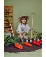 LEARN BOTTLE VEGGIES