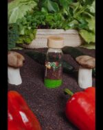 LEARN BOTTLE VEGGIES