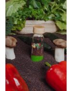 LEARN BOTTLE VEGGIES