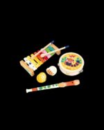SET DE INSTRUMENTOS MUSICALES GIOIA +18M