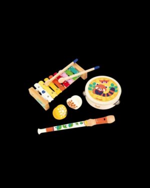 SET DE INSTRUMENTOS MUSICALES GIOIA +18M
