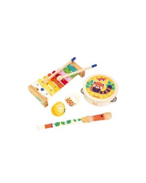 SET DE INSTRUMENTOS MUSICALES GIOIA +18M