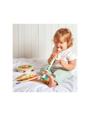 SET DE INSTRUMENTOS MUSICALES GIOIA +18M