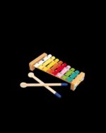SET DE INSTRUMENTOS MUSICALES GIOIA +18M