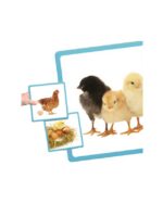 MAXI-SECUENCIAS NATURALES