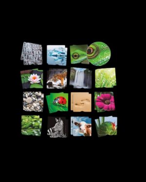 MAXI-MEMORY TÁCTIL LA NATURALEZA