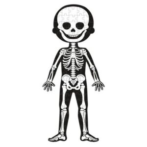 Puzzle Educativo Cuerpo Humano