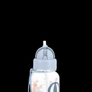 BOTELLA PLÁSTICO PLANES 500ML