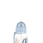 BOTELLA PLÁSTICO PLANES 500ML